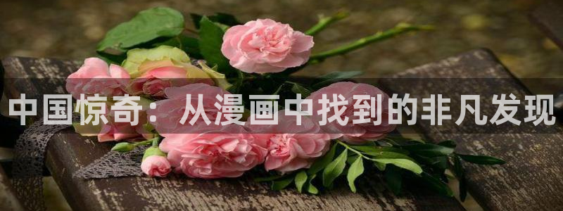 汗汗漫画羞羞首页入口在线免费阅读漫画：中国惊奇：从漫画中找到的非凡发现