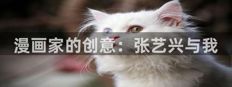 汗汗漫画首页登录免费入口：漫画家的创意：张艺兴与我
