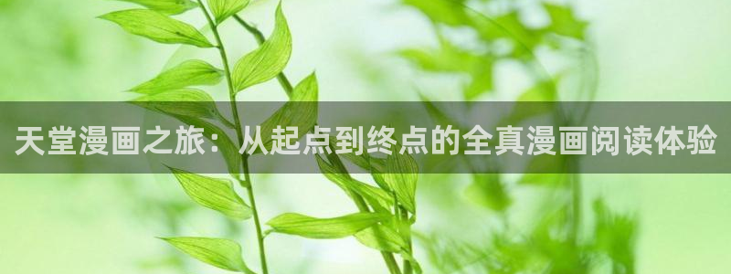 汗汗漫画好看的韩国漫画：天堂漫画之旅：从起点到终点的全真漫画阅读体验